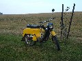 Jawa   50 21