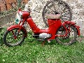 Jawa 550 Pařez