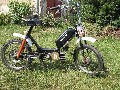 Babetta 210