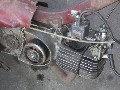 fichtl  50 20