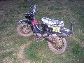 Fichtl  50 20