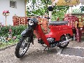 Jawa 50  50 21