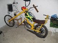 Jawa 50 CHOPPER Jamaica