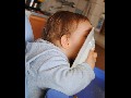 Šéša Obědvání