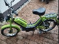 Baetta 210