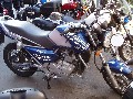 JAWA 650 STIL