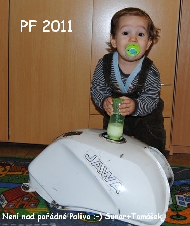 SESA 2 - Prototyp  (2010)