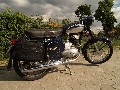 jawa  250 - 559 (pane)