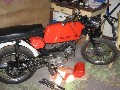 JAWA  50 - 23 (Must)