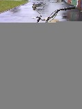 Jawa - 21 (1980)