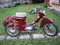 jawa 50 - 555 pařez (1958)