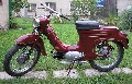 jawa 50 - 555 pařez (1958)