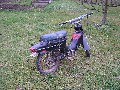 javvka 001 - 21a1/2 (3071)