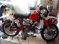 jawa 50 - cross