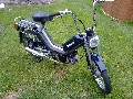 Babetta - 210