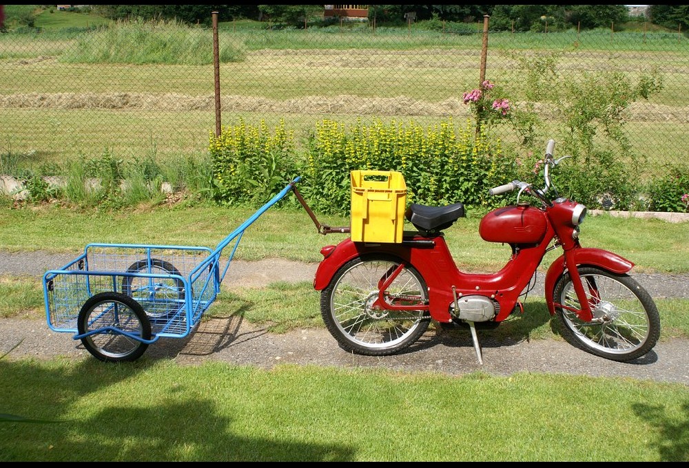 Jaweta - Sport