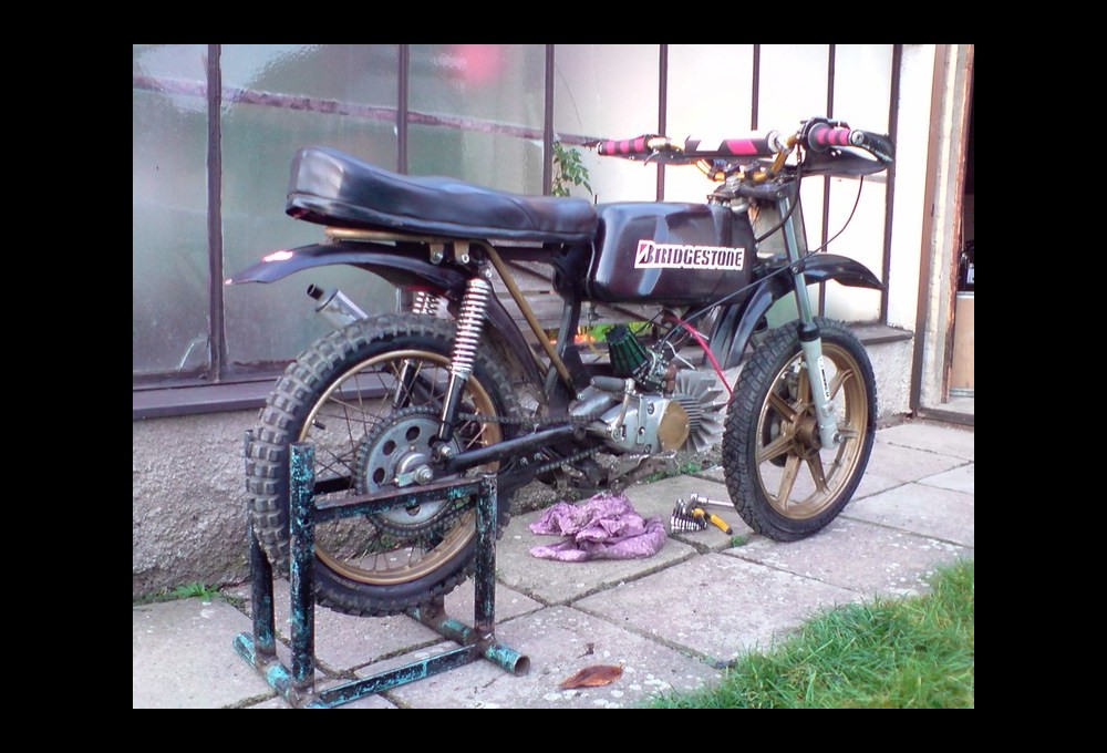 Jawa - mustang